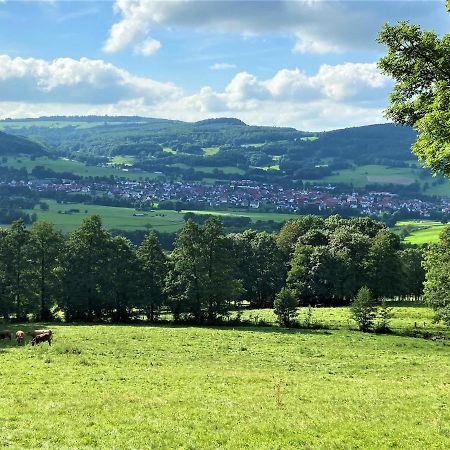 Ferienwohnung Natur-Pur Ehrenberg  Exteriér fotografie