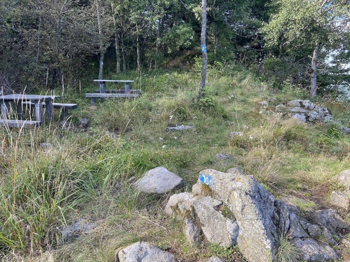 Ferienwohnung Natur-Pur Ehrenberg  Exteriér fotografie