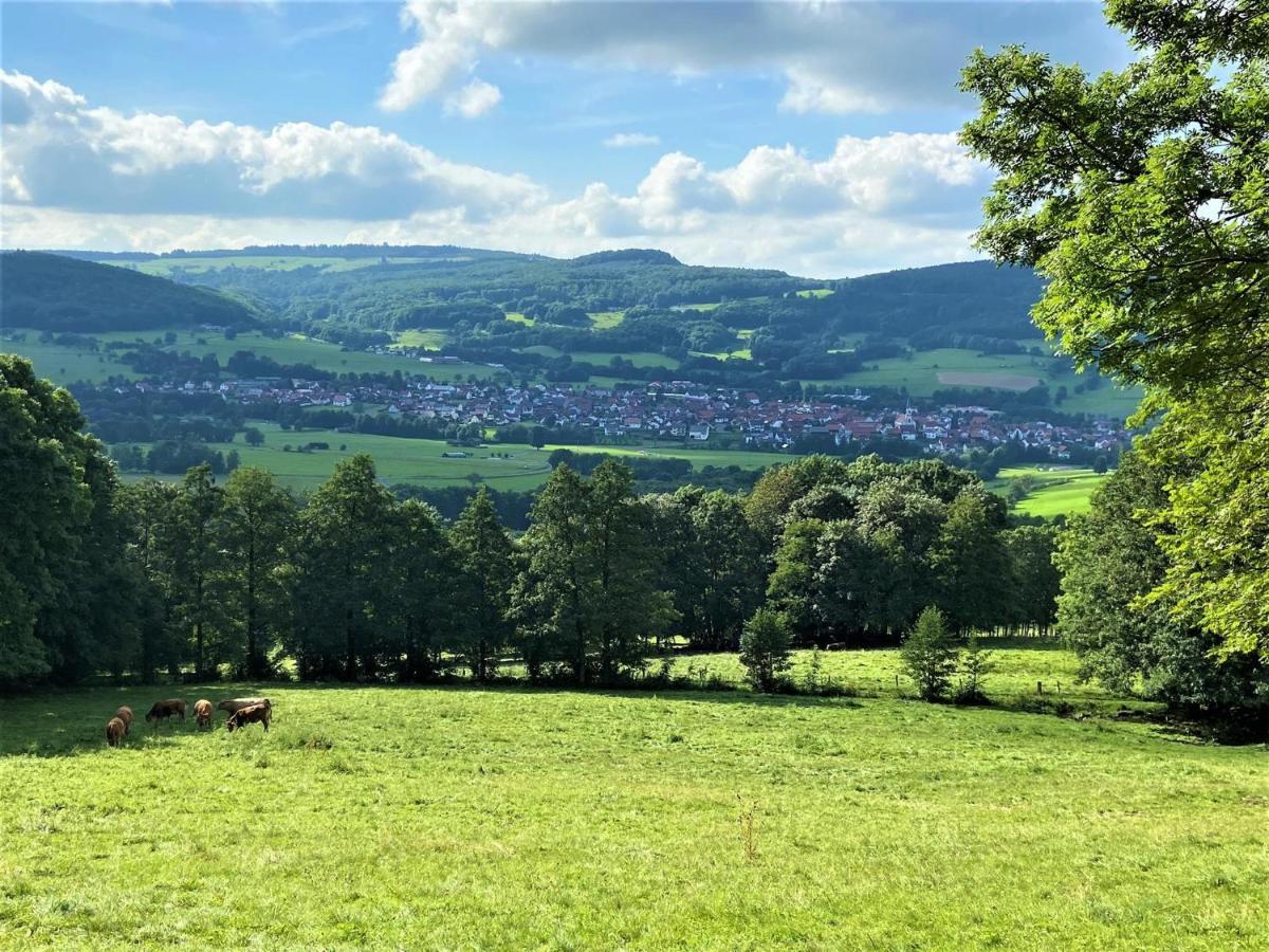 Ferienwohnung Natur-Pur Ehrenberg  Exteriér fotografie